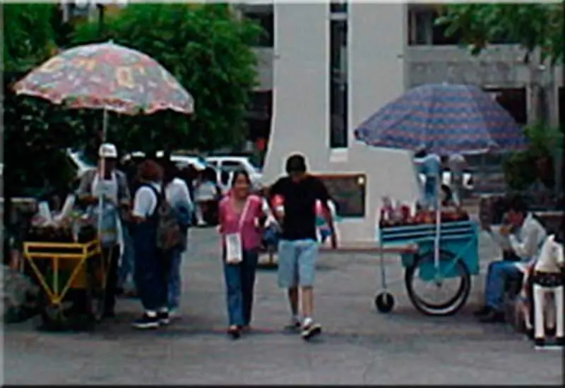 Jardín Morelos