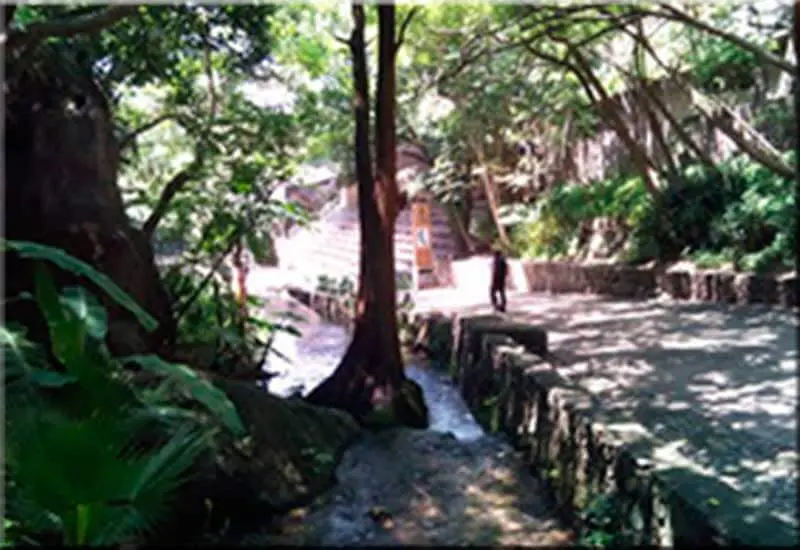 Parque Barranca de Chapultepec